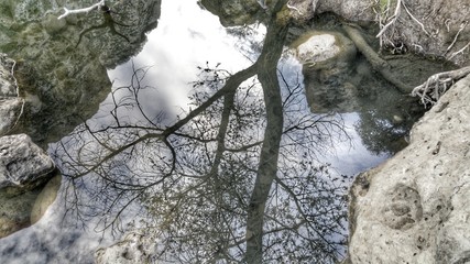 Creek reflections