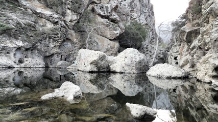 Oasis