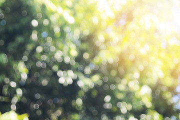 Background blur bokeh and light