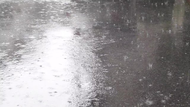 道路に降る雨