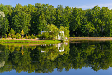beautiful calm lake in the summer the park in a summer day