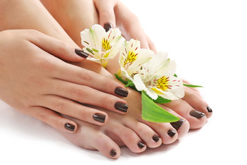 Manicured female feet and hands with flowers isolated on white