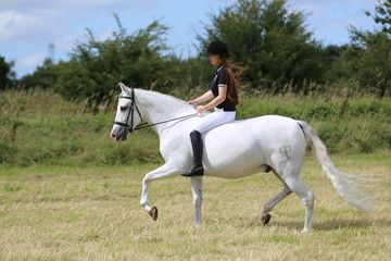 Girl riding andalusian grey horse bareback  