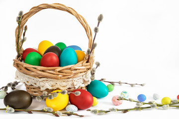 Basket with easter eggs and catkins  on white background
