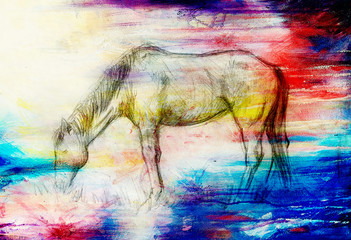 Draw pencil horse on old paper, vintage paper and old structure with color spots. © jozefklopacka