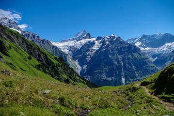 Fototapeta na wymiar SSunny day view to the mountains vally from top of Mannlichen (Jungfrau region, Bern, Switzerland)