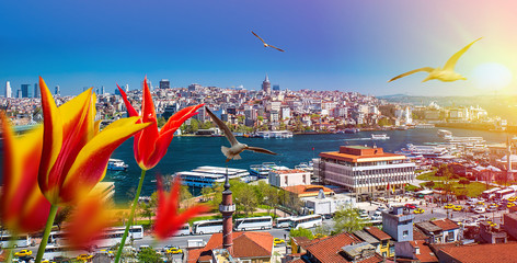 Obraz na płótnie Canvas Istanbul the capital of Turkey, eastern tourist city.