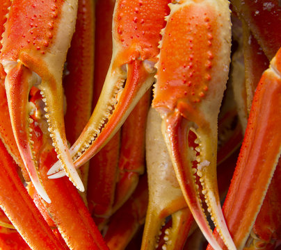 A lot of Boiled crab claws
