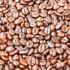 Brown roasted coffee beans , texture background