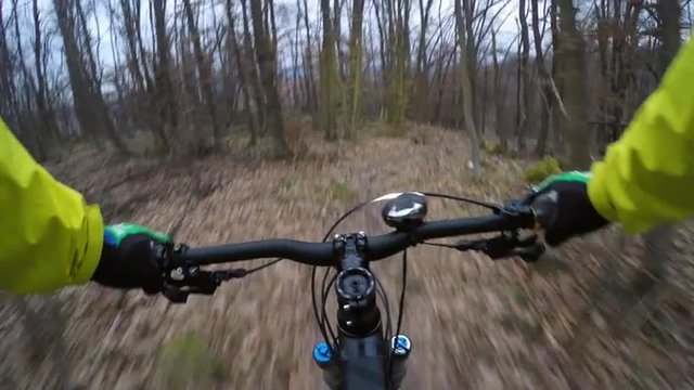 4K POV Mountain biker in autumn forest