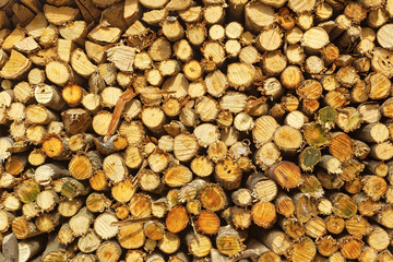 natural wooden logs