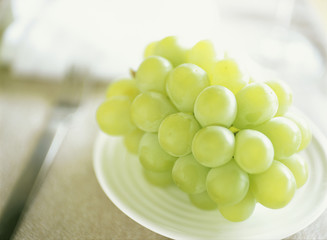 皿の上のマスカット