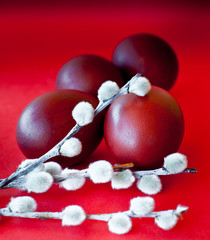 Easter eggs and pussy willow branches against red background