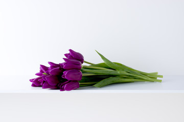 白い背景と棚と紫色のチューリップ