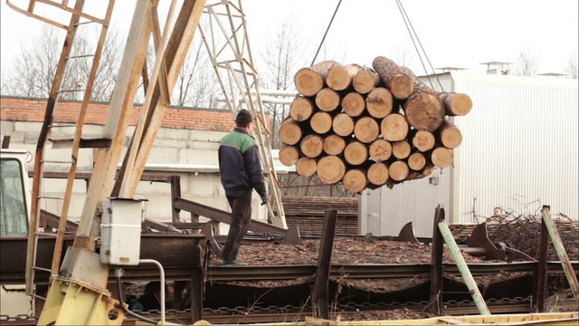 lifting crane work video wood