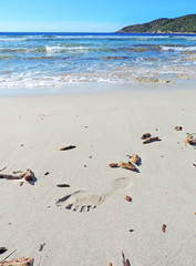 Footprint on the beach