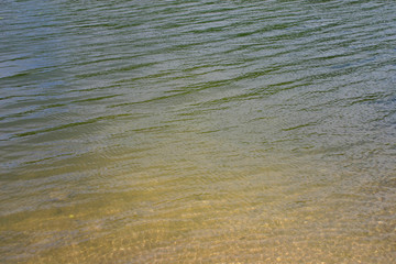 sandy bottom through the water surface in shallow water