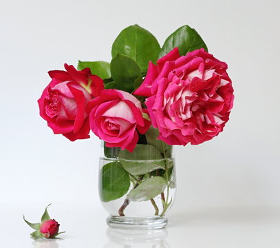 Bouquet of red roses in a vase. Romantic floral still life with roses.