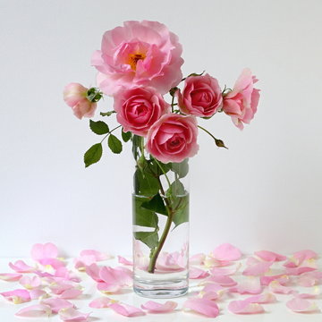 Romantic floral still life with bouquet of pink roses in a vase.