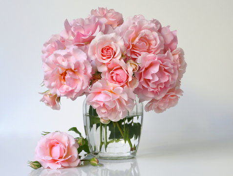 Fototapeta Bouquet of pink roses in a vase. Romantic floral still life with pink roses.