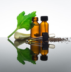 Celery seeds essential oil in amber bottle with dropper, with celery stick, seeds and leaf. - 104638799