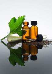 Celery seeds essential oil in amber bottle with dropper, with celery stick, seeds and leaf. - 104638921