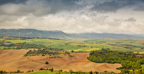 Fototapeta premium Tuscan landscape