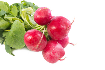 radish on white background