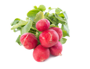 radish on white background