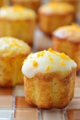 orange muffins, background