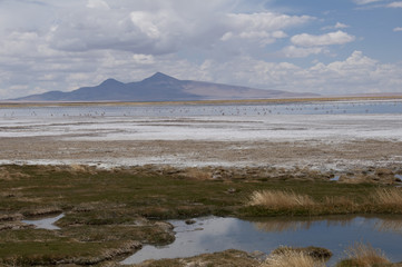 Lago salado en el desierto de Atacama. Salar de Tara en la Cordillera de los Andes, Chile