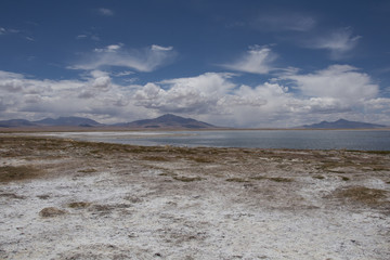 Fototapeta na wymiar Lago salado en el desierto de Atacama. Salar de Tara en la Cordillera de los Andes, Chile