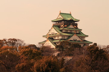 Fototapeta premium 大阪城 夕景