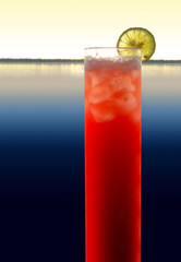 extra long longdrink with lemon