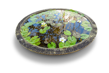pond in a bowl