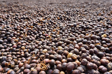 Kaffeebohnen