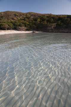 asinara
