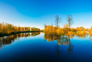 Trees Standing In Water During A Spring Flood. Sunny day.
