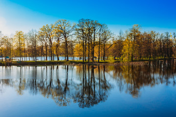 Trees Standing In Water During A Spring Flood