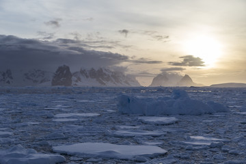 Drifting ice floes in sunset at Lemaire Channel, Antarctica. © Johannes Jensås