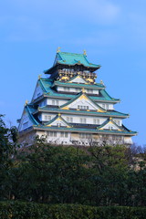 Fototapeta premium 大阪城
