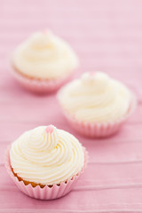 Three vanilla cupcakes with buttercream swirl topping