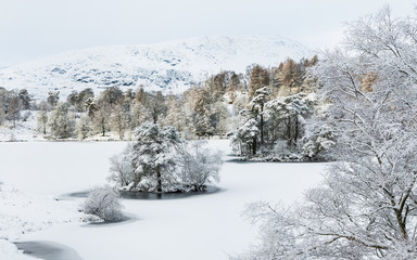 Snow covered frozen Tarn Hows and Wetherlam in background, in the Lake District