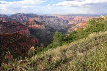 the amazing grand canyon national park north section
