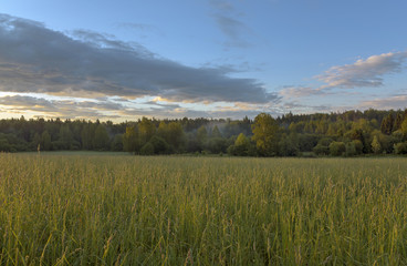 Obraz premium Summer morning