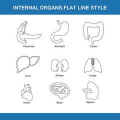 internal organs flat line style
