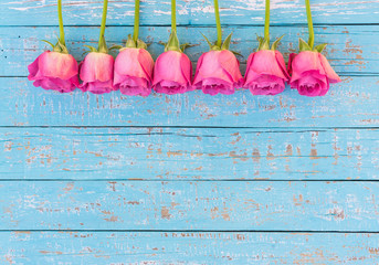 Rosa Rosen Hintergrund Türkis Hell Blau Shabby Holz mit Textfreiraum
