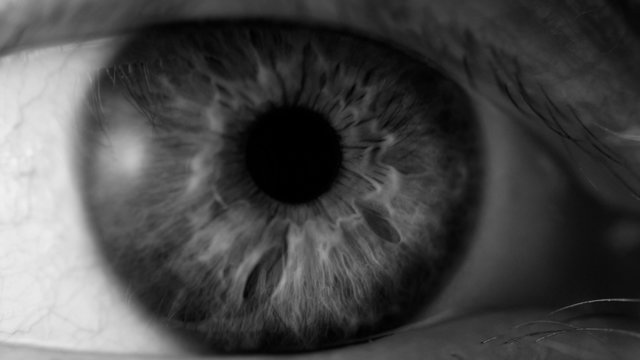 Human eye iris contracting. Extreme close up.
B/W.
