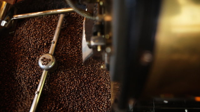 The freshly roasted coffee beans from a large coffee roaster being poured into the cooling cylinder. Person checks the quality.