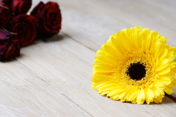 Yellow gerber and dried roses